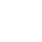 Moodle Lightbulb icon